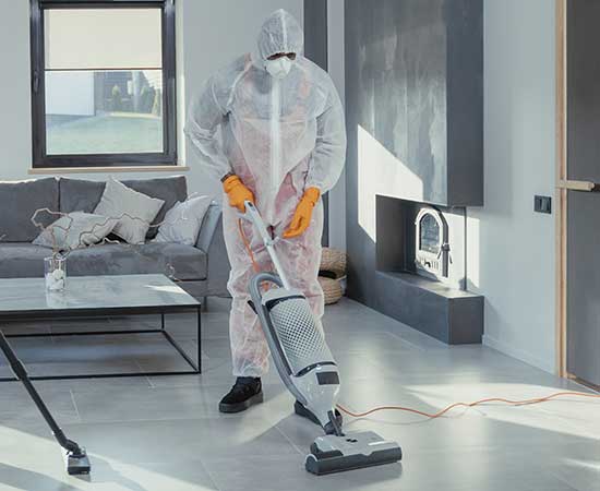 Bed bug treatment — heat treatment and inspection